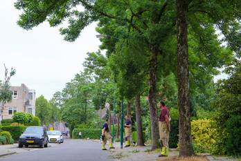 natuur verlengde kolonieweg soest