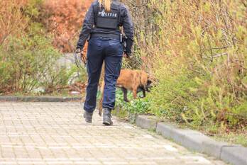 nieuws geeuwstraat leeuwarden