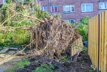 natuur klaverstraat rotterdam