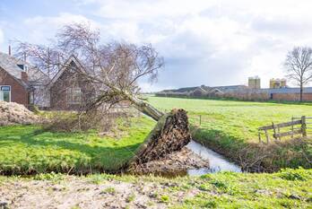 natuur valutaboulevard amersfoort