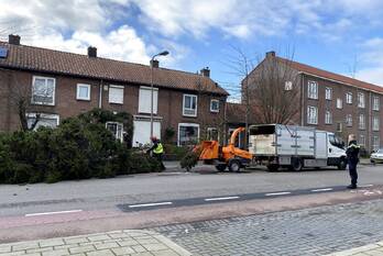 natuur koningin wilhelminaweg gouda