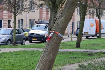 natuur vorstmanstraat gouda