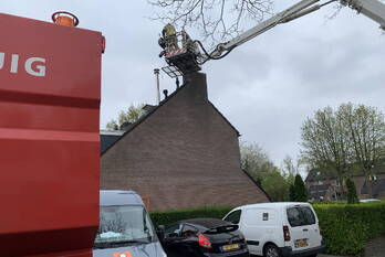 brand singelberg hardenberg