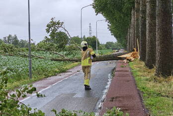 natuur maanderdijk ede