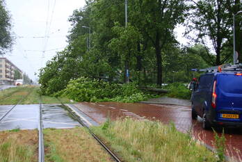 natuur dijkgraafplein amsterdam