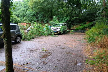 natuur van speykstraat ede