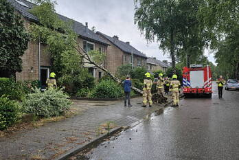 natuur irenelaan ede