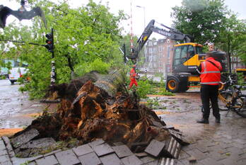 natuur houtmankade - s100 amsterdam