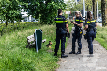 nieuws rueckertbaan tilburg