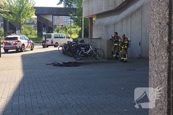 nieuws hofplein rotterdam