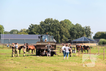 nieuws lage veldweg lunteren