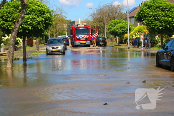 waterlekkage saturnusstraat spijkenisse