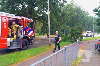 natuur van remagenlaan arnhem