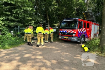 brand logtenburg veghel