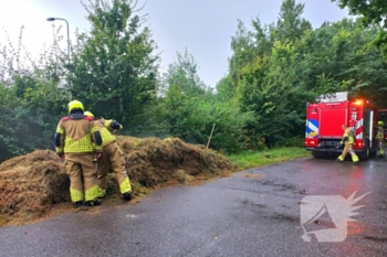 brand roversbrugpad katwijk