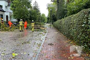 natuur zuideinde meppel