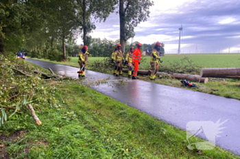 natuur zuidermeerweg urk