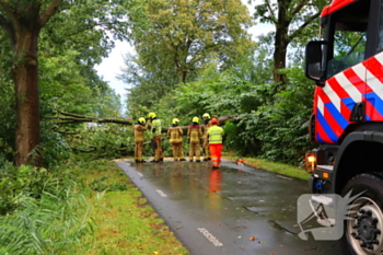 natuur randmeerweg nunspeet