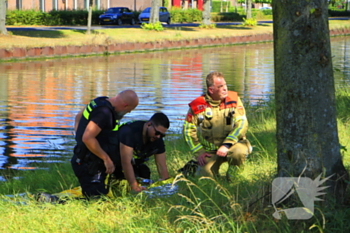 nieuws jan van der croonstraat weert