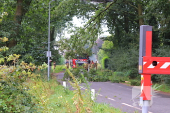 natuur boksheide eersel