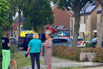 nieuws mispelstraat rockanje