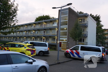 steekincident stellendamhof rotterdam