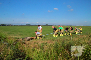 nieuws noord ervenweg eemnes