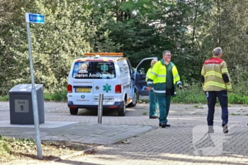 nieuws bijsterveld ede