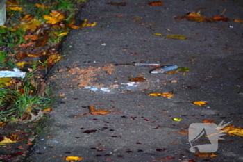 steekincident grachtweg zierikzee