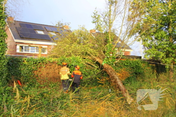 natuur leukerschansstraat weert