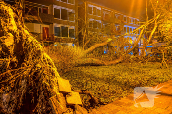 natuur drs. f. bijlweg den helder