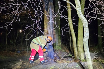 brand van den boschlaan ede