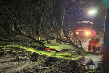 natuur bunthorstseweg elsendorp